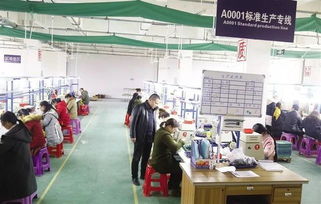 返乡兴办脱贫工厂，电子产品畅行海外市场